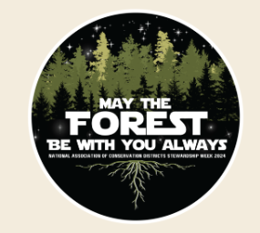 2024 Poster Contest Theme - May the Forest Be With You